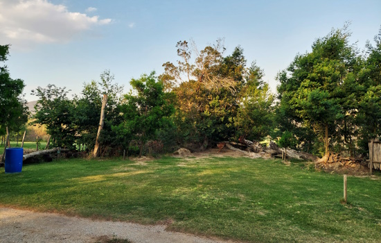 Grass area next to the road, with bushes behind it.