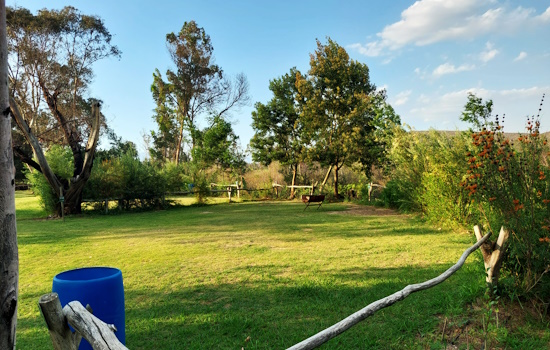 Neatly cut lawn with trees and deviding fence.