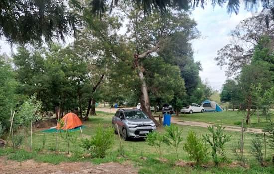 Orange tent and vehicle on grass area with indigenous plants as hedge.