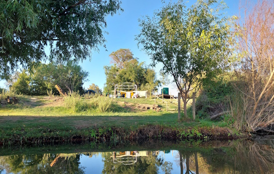Grassed terrace between tent area and river, with clear reflection of trees in water.