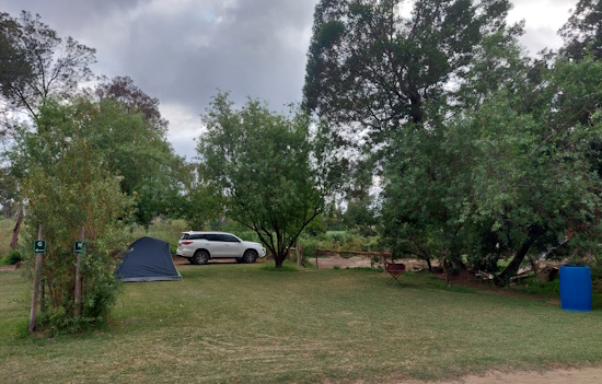 Grey tent and white SUV on large grass site, with cloudy skies.