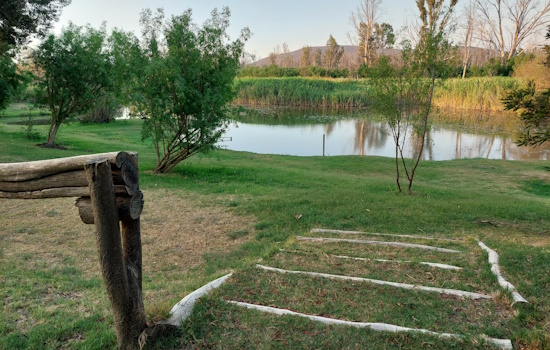 Steps down to grass terrace and river, from campsite.